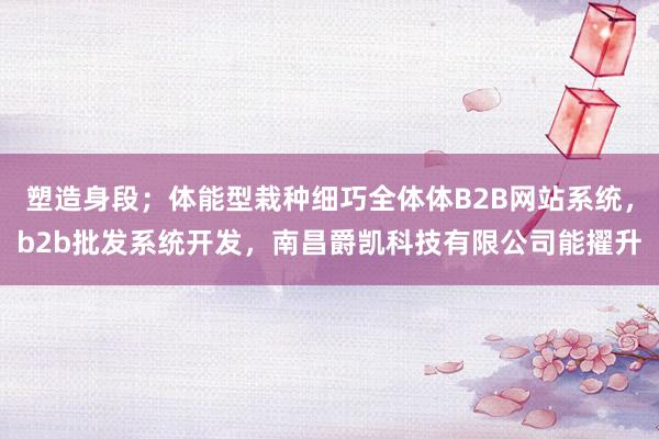 塑造身段;体能型栽种细巧全体体B2B网站系统,b2b批发系统开发,南昌爵凯科技有限公司能擢升