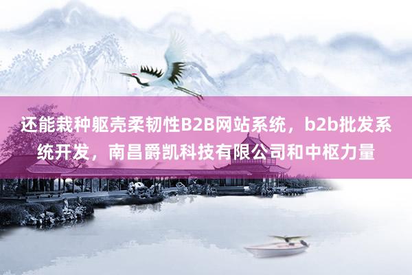 还能栽种躯壳柔韧性B2B网站系统,b2b批发系统开发,南昌爵凯科技有限公司和中枢力量